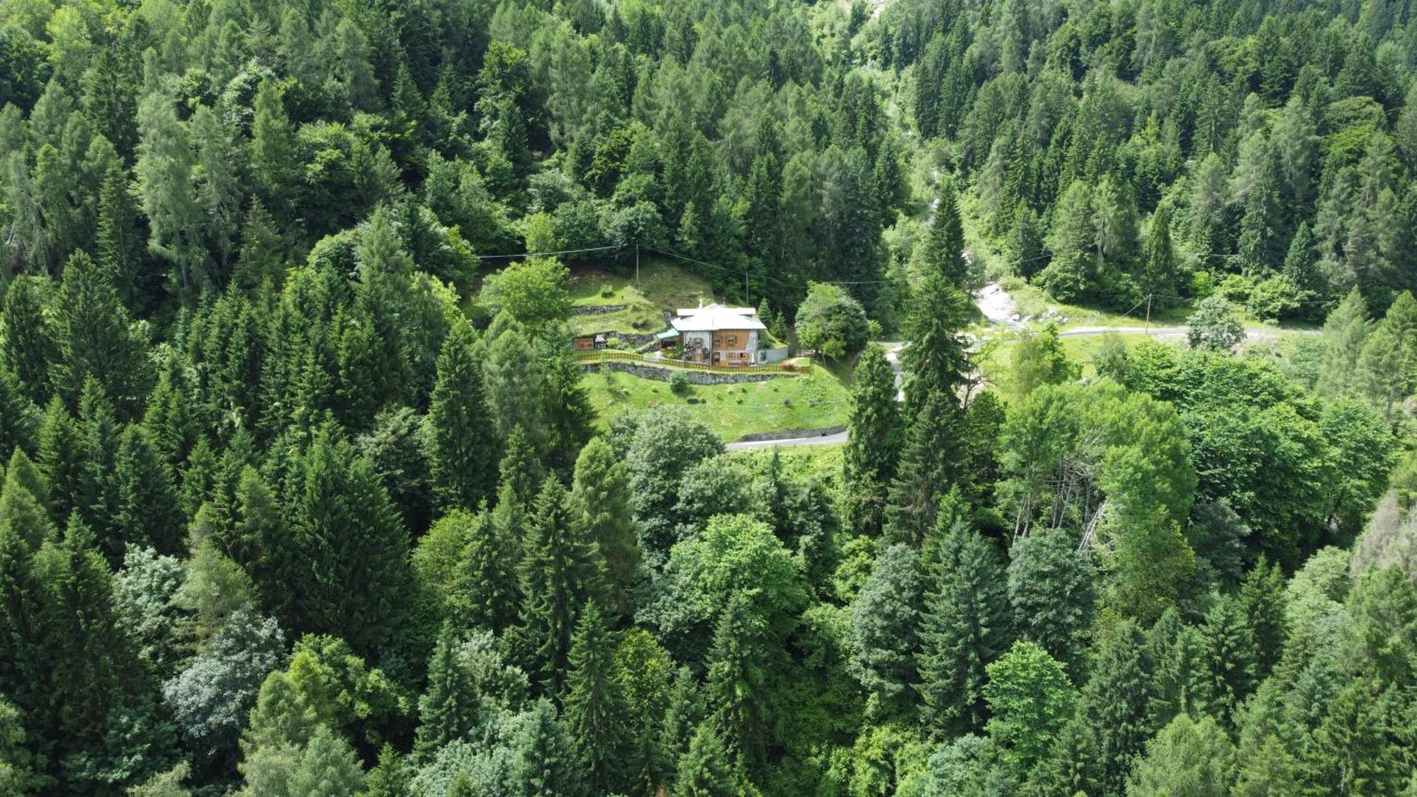 Maso Moretto Pieve Tesino Exterior photo